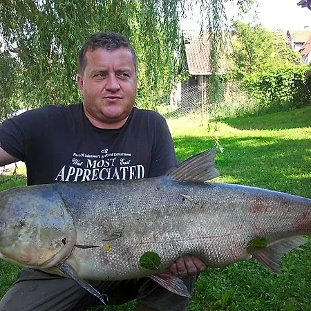 Zelwagi 14 * Mikołajki