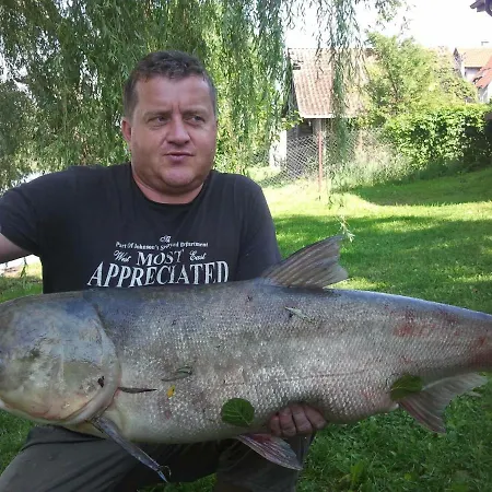 Zelwagi 14